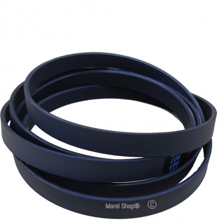 Cinghia 1171 J5 per Lavatrice Beko 2907260500