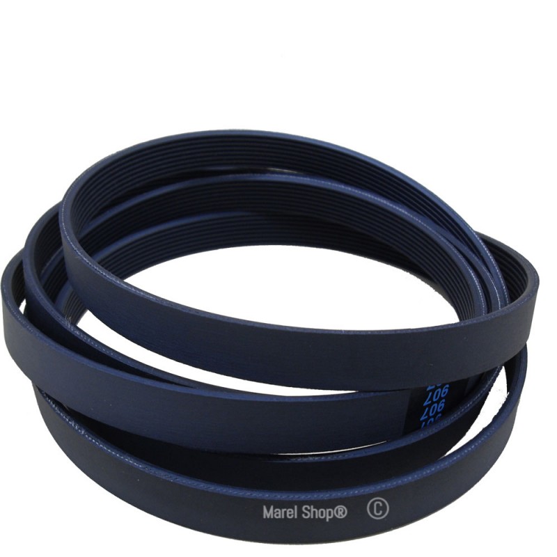 Cinghia 1244 J4 1244 J5 per Lavatrice Ariston Indesit Beko Whirlpool C00864585